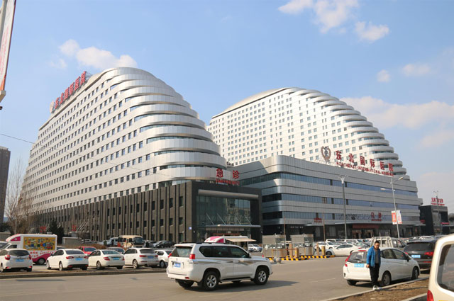 東北國際醫院